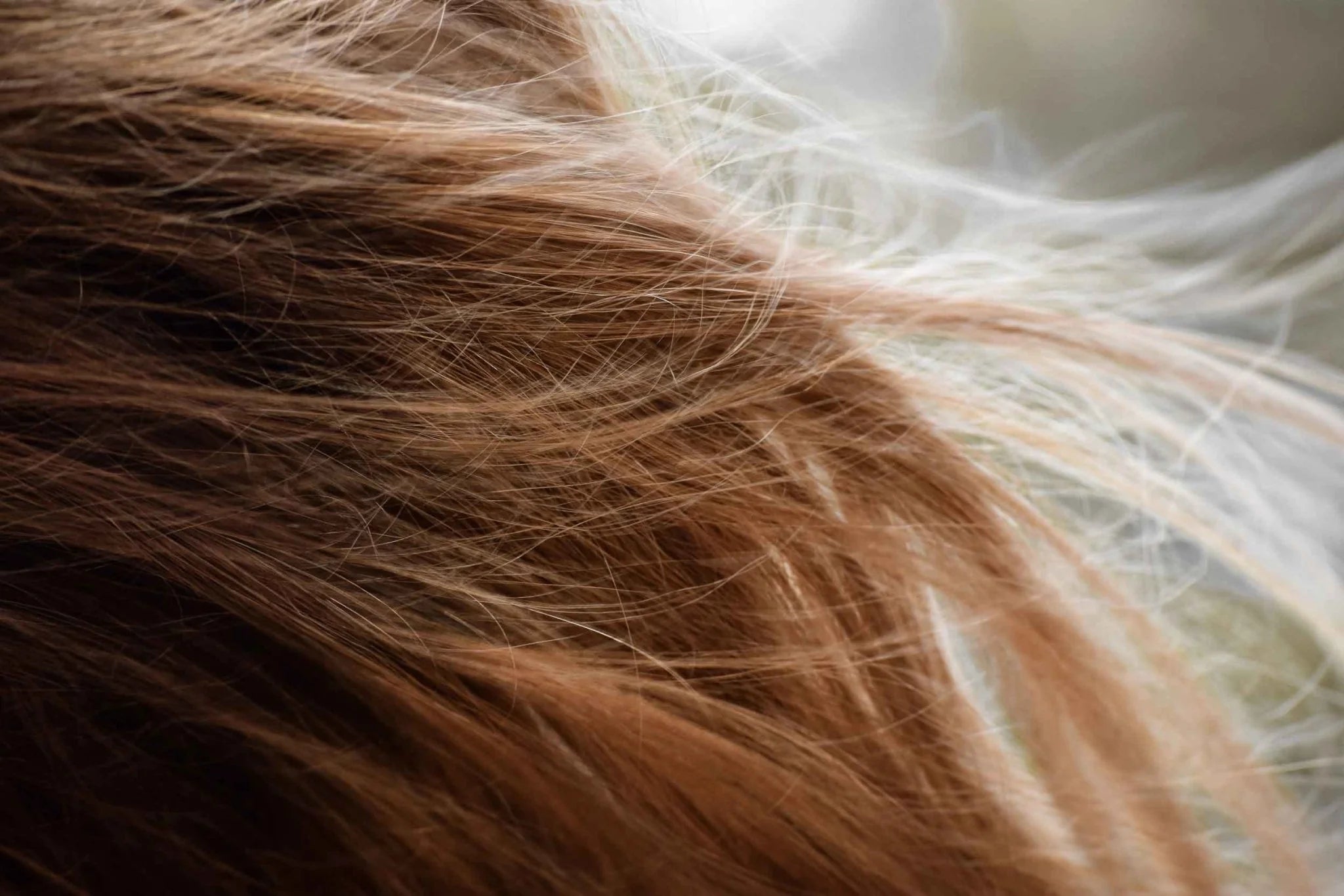 close up of hair blowing in the wind